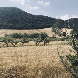 Country views