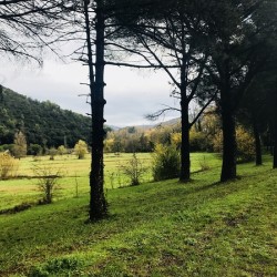 Country view 2