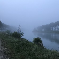 Fog on the river