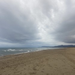 The stormy sands of the sea