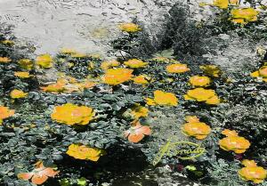 02E94356 7784 4CC1 A8BF 8725D602B76C