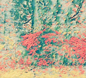 07C81087 2BD8 4451 B234 DDE99926CC8F