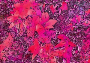 0A4AB8B8 E4A2 4820 8B47 F65844A88175