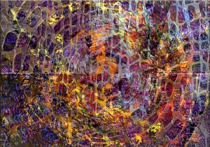 3225B814 822E 4741 8FA0 08D5D38B942F