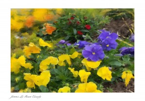 4CB96FBE C245 4577 AAF5 7BE5BA98D7CF