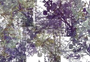 4FCE3B88 033A 4241 902C 1D98C2AE5FD9