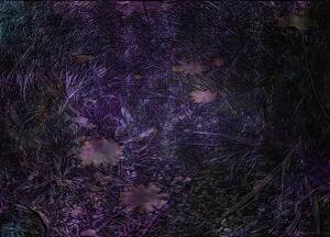 619B34B5 B0AC 459D 800B 9640BDBEBD72