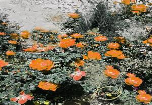 94D0CCFC 99C5 4859 8FAC 741FFC029AD7