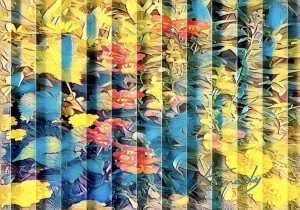 9B3BA9C7 6D21 479A 8871 B29939F691B1