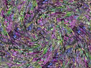 A8072A82 5D1B 49DB 9668 20F299162021