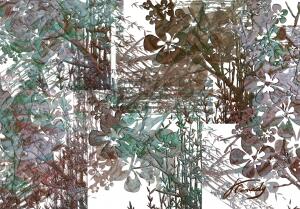 B62FCA1B 6522 4854 A495 EAF8EECF2E3B