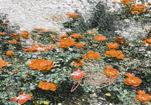 D1B5B0C6 8DDA 442B A14C B8D746EFFA7A