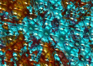 D61F9B6C 9826 48A0 9256 CD0442BBDB2F