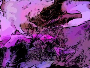 D90D629B 66FF 483D 928D C666E5B9F833