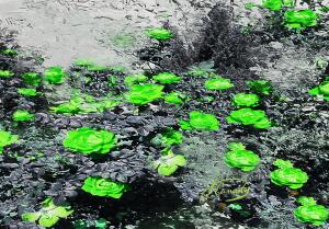 F8F4AC00 FCF6 45D5 8119 84910E1FC721