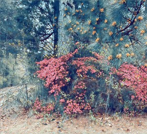 FE9B697A 4EB4 4819 84FD EED6AED9F692