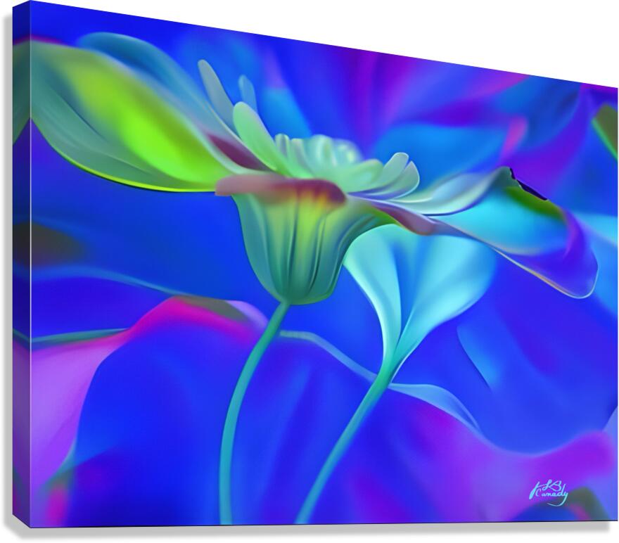 IMG 0302 Canvas Print