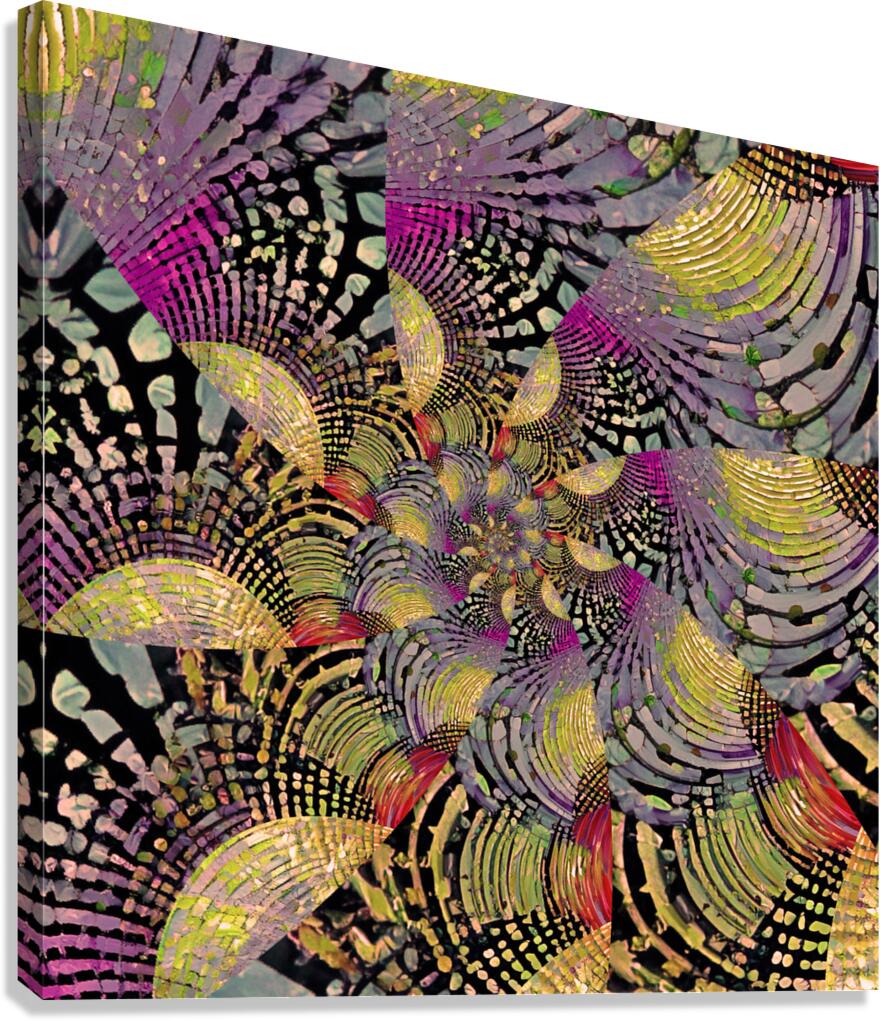 IMG 4288 Canvas Print