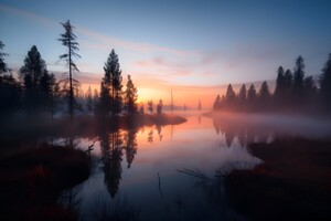 Dawn no.13