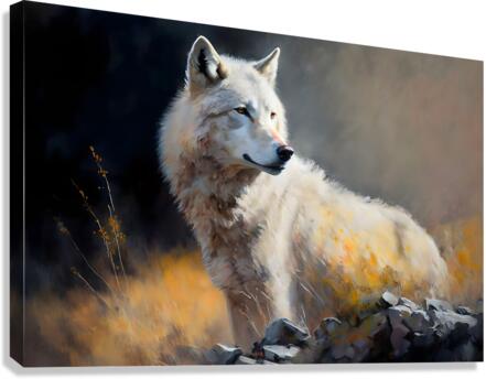 Wild no.26 Canvas Print