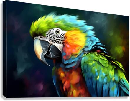 Wild no.61 Canvas Print