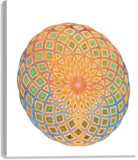 Life Geometry Canvas Print
