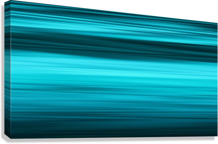 Sunset Burs Canvas Print