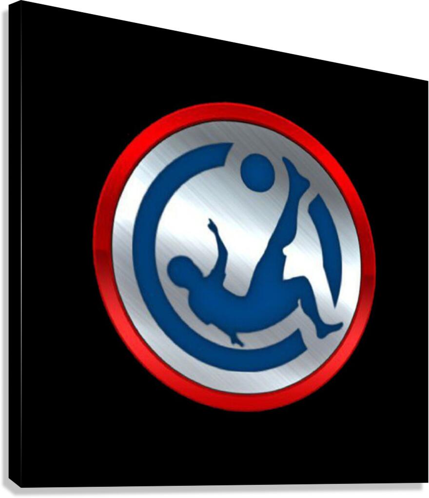 LIVEBOLA88 Canvas Print