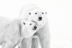 Family Portrait Black and White