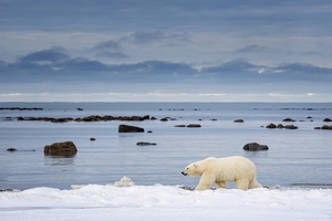 Johnny Hayward Selects 65