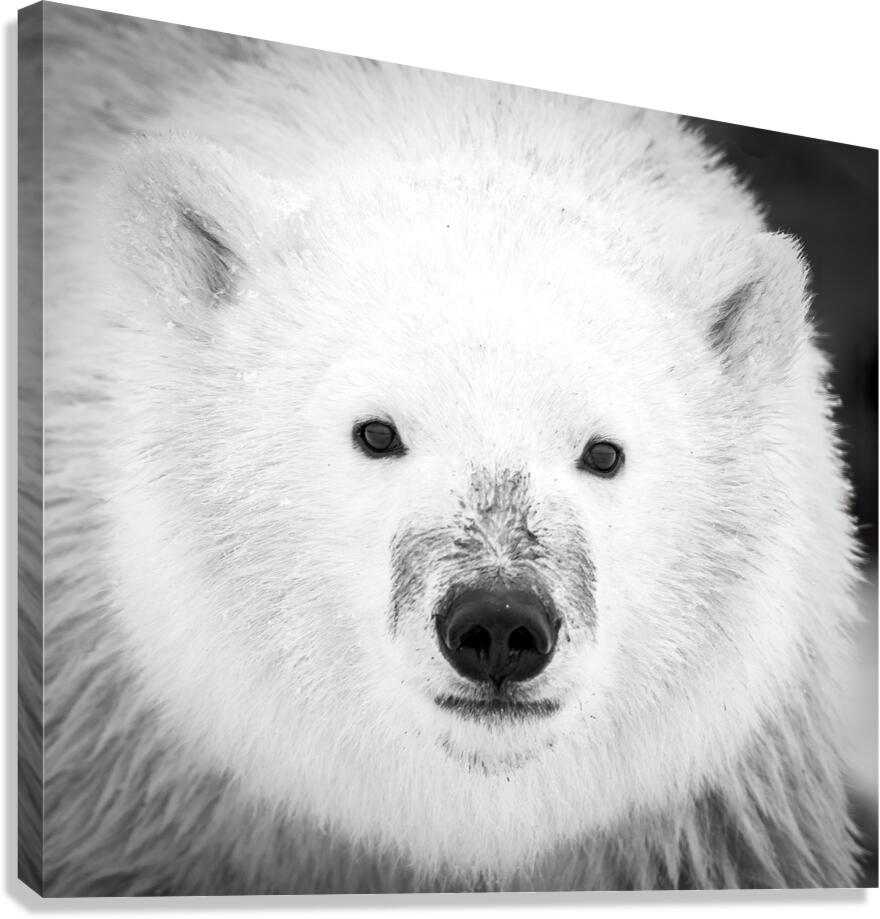 Muddy Buddy Canvas Print