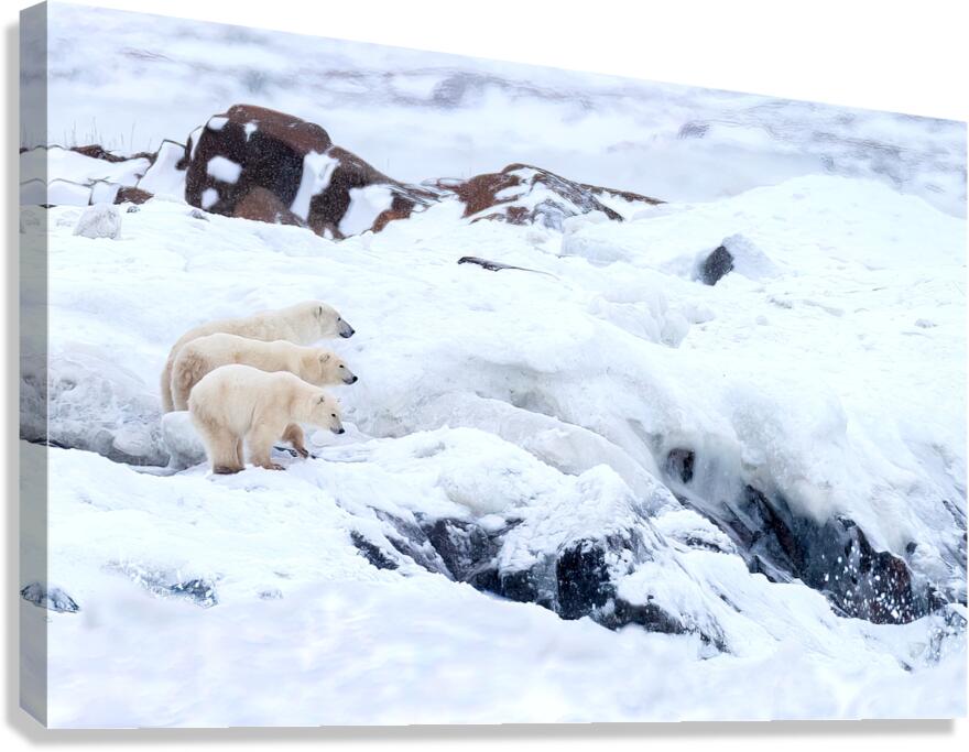 Overwatch Canvas Print