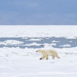 Water and Ice