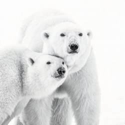 Family Portrait Black and White
