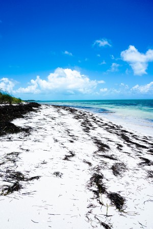 New Parts Of The Soul