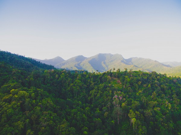 Follow Me Away Print