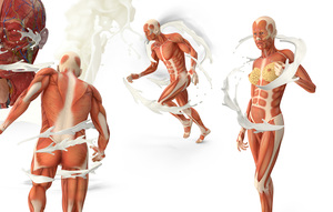 Milk Protein Isolate 1.2