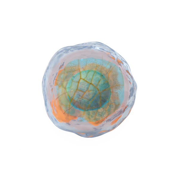 Cell 1.0 Print