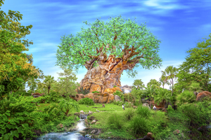 The Tree of Life at Disneys Animal Kingdom