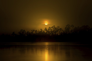 A Saharan Sunset in the Everglades