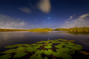 An Evening in the Everglades