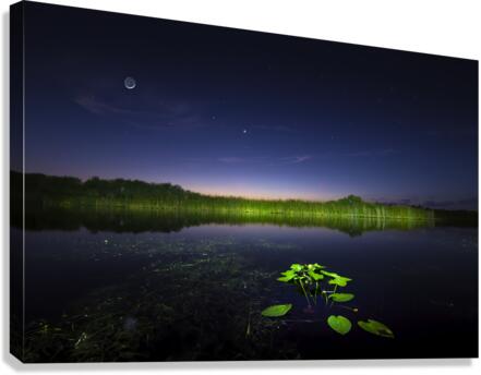 Celestial Serenade Canvas Print