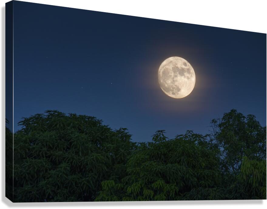 Key West Moon Canvas Print