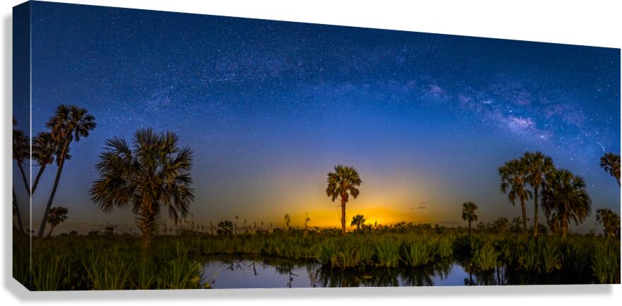 Celestial Oasis  Canvas Print