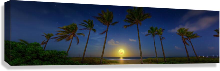 Equinox Canvas Print