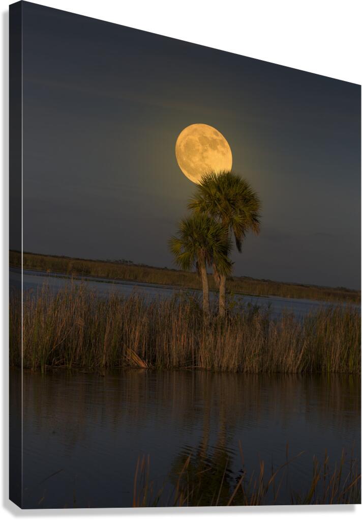 Full Moon River Canvas Print