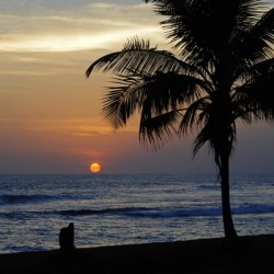 Majestic Sunset