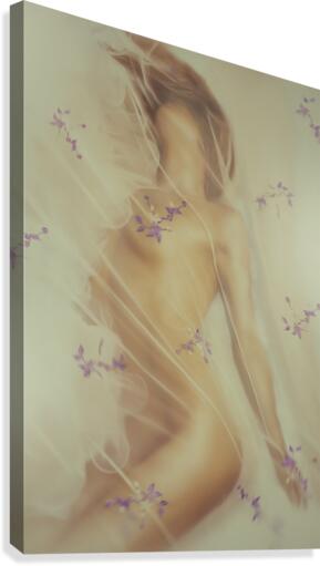 Wild Flower Canvas Print
