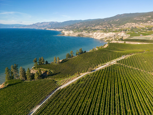 Okanagan Valley Winery Vineyard British Columbia