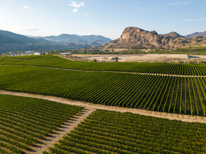 Okanagan Valley Winery Vineyard British Columbia